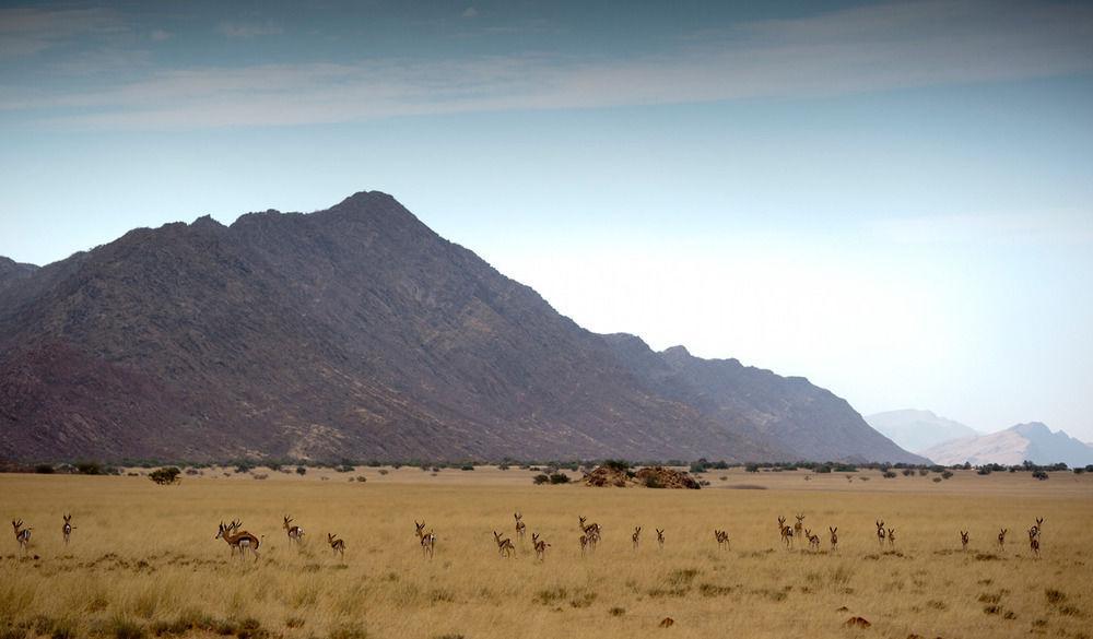 Okahirongo Elephant Lodge Purros Buitenkant foto